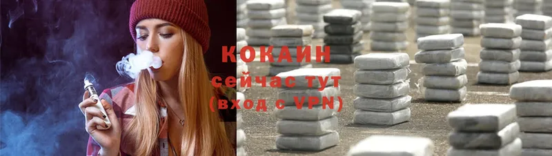 Cocaine Fish Scale  магазин продажи наркотиков  Суджа 